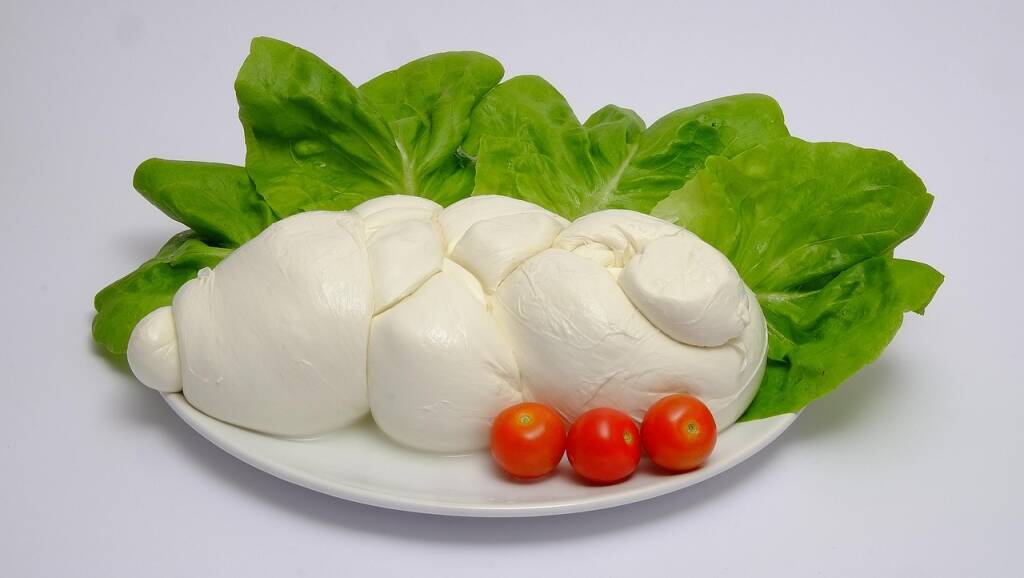 Immagine del post 13952 - Basilicata Il Tar decide: la mozzarella di bufala si può fare con il latte in polvere - Basilicata