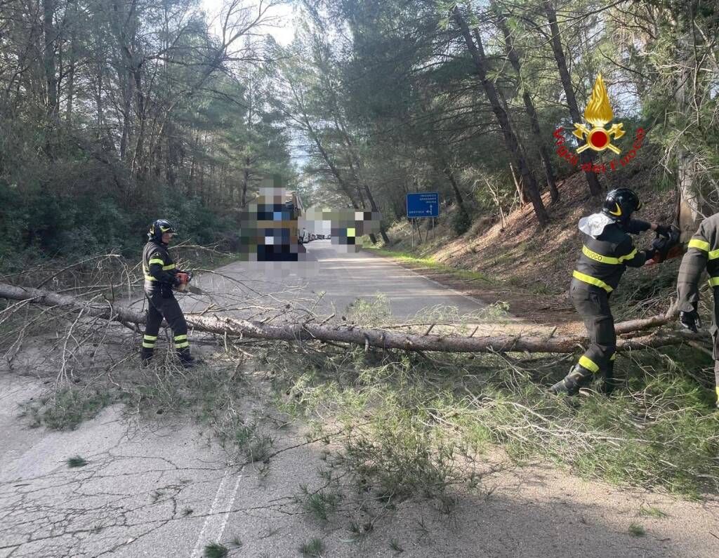 Vento forte in provincia di Matera, 60 interventi dei vigili del fuoco - Basilicata