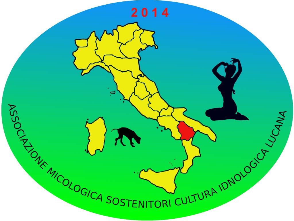 Immagine del post 13994 - Basilicata Tartufai lucani, Amscil: “la Regione continua a imporci assurdità burocratiche” - Basilicata