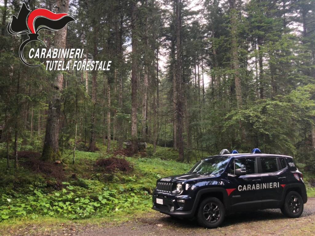 Giornata internazionale delle Foreste, Carabinieri Forestali impegnati con l’educazione ambientale - Basilicata