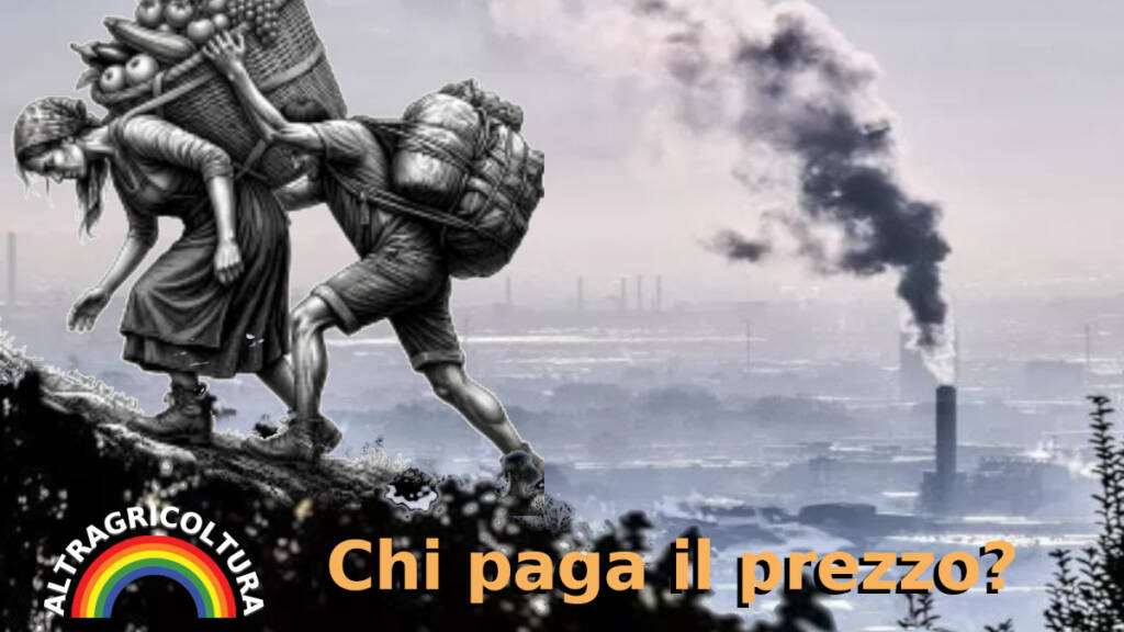 Immagine del post 20672 - Basilicata Chi produrrà il cibo pagherà il conto climatico dell’intera filiera e per tutti? - Basilicata