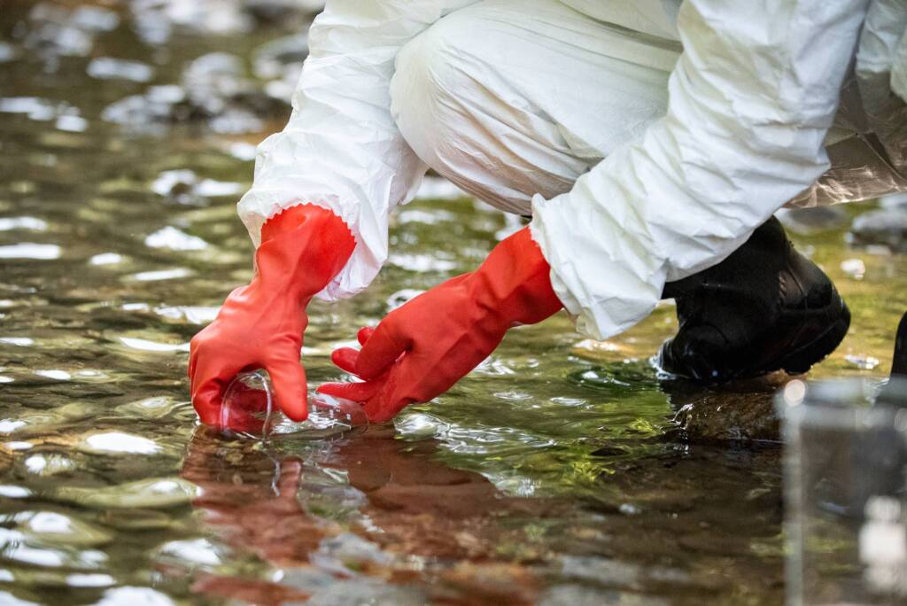 Crisi idrica: la trielina gioca a nascondino nel torrente Tora - Basilicata