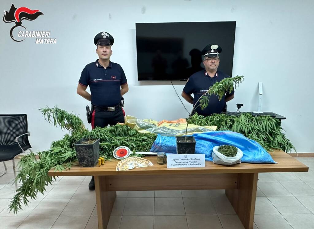 Immagine del post 26222 - Basilicata Tricarico, 42enne arrestato per traffico e detenzione di droga - Basilicata