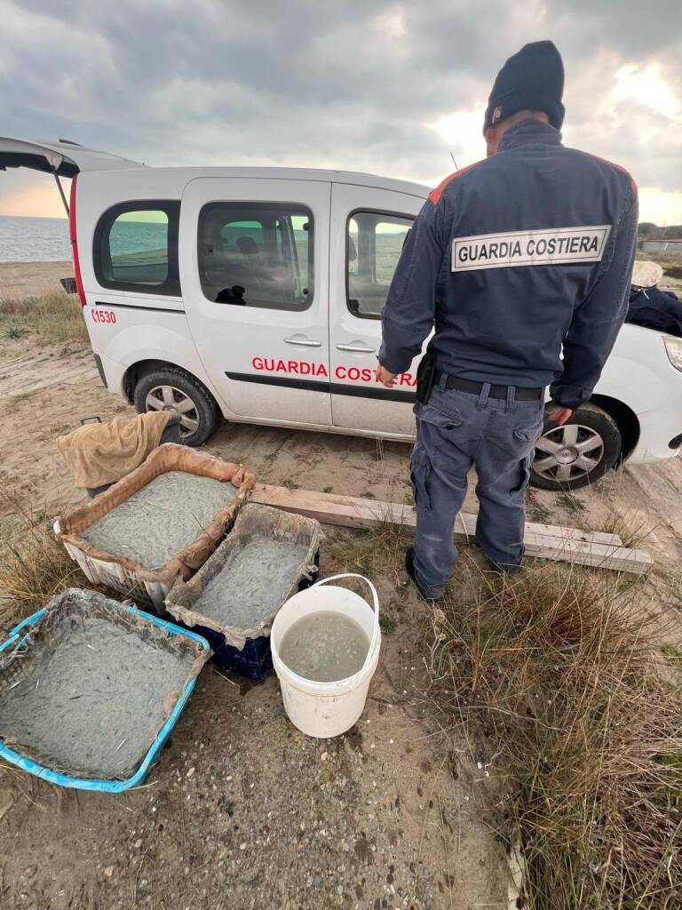 Immagine del post 2383 - Basilicata Pesca illegale, a Pisticci sequestrati 100 chili di “bianchetto” - Basilicata