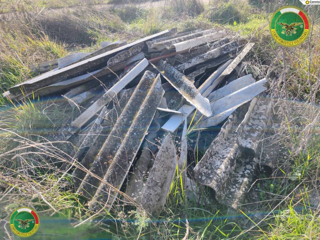 Immagine del post 16218 - Basilicata La denuncia del Corpo Forestale Volontario: contrastare l’abbandono illecito di rifiuti - Basilicata
