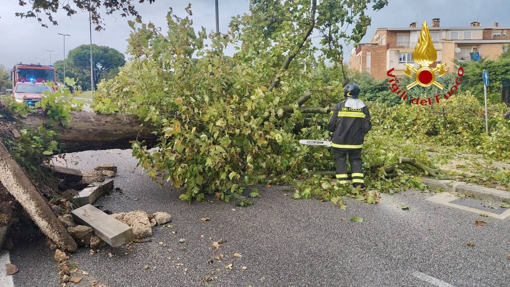 Maltempo a Matera e provincia: numerose richieste di soccorso ai Vigili del Fuoco - Basilicata