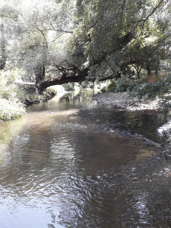 L’acqua del Basento è stata davvero una soluzione sicura? Cosa hanno ingerito i lucani? - Basilicata