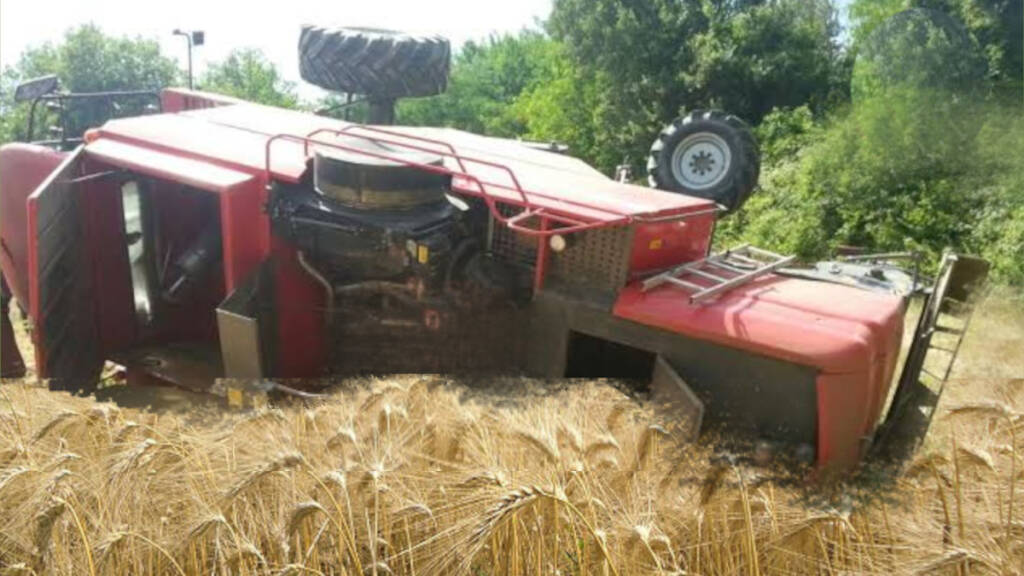 Il fallimento del tavolo del grano al ministero - Basilicata