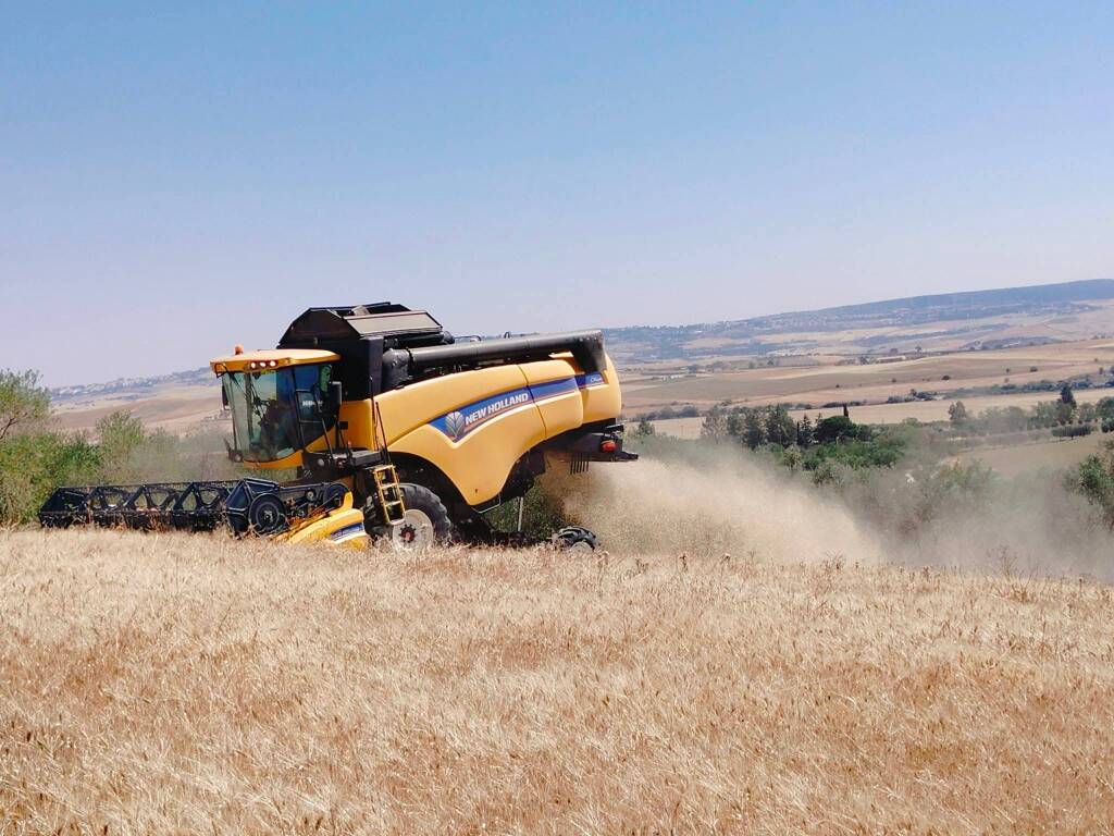 Agricoltura, caro carburante: la Basilicata segua l’esempio della Calabria - Basilicata