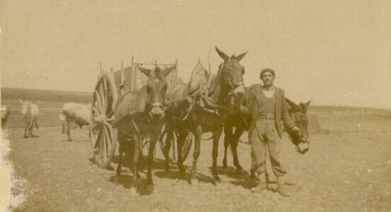 Immagine del post 19752 - Basilicata La Basilicata terra di confinati antifascisti: un 25 Aprile con poca memoria - Basilicata
