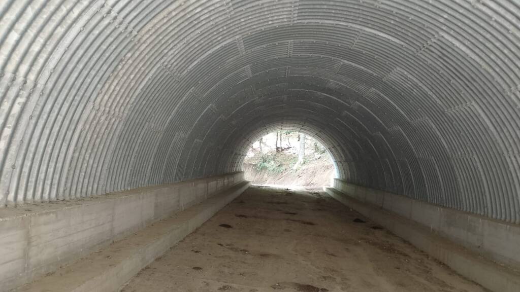 Immagine del post 24238 - Basilicata Montagna Sellata-Pierfaone: non solo tagliano gli alberi ed estirpano le radici, ma lo fanno anche a casaccio - Basilicata