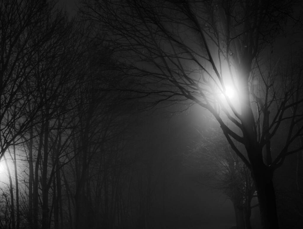 Immagine del post 26457 - Basilicata Cittadini al buio e istituzioni fantasma: il caso di Via Rapolla a Melfi - Basilicata