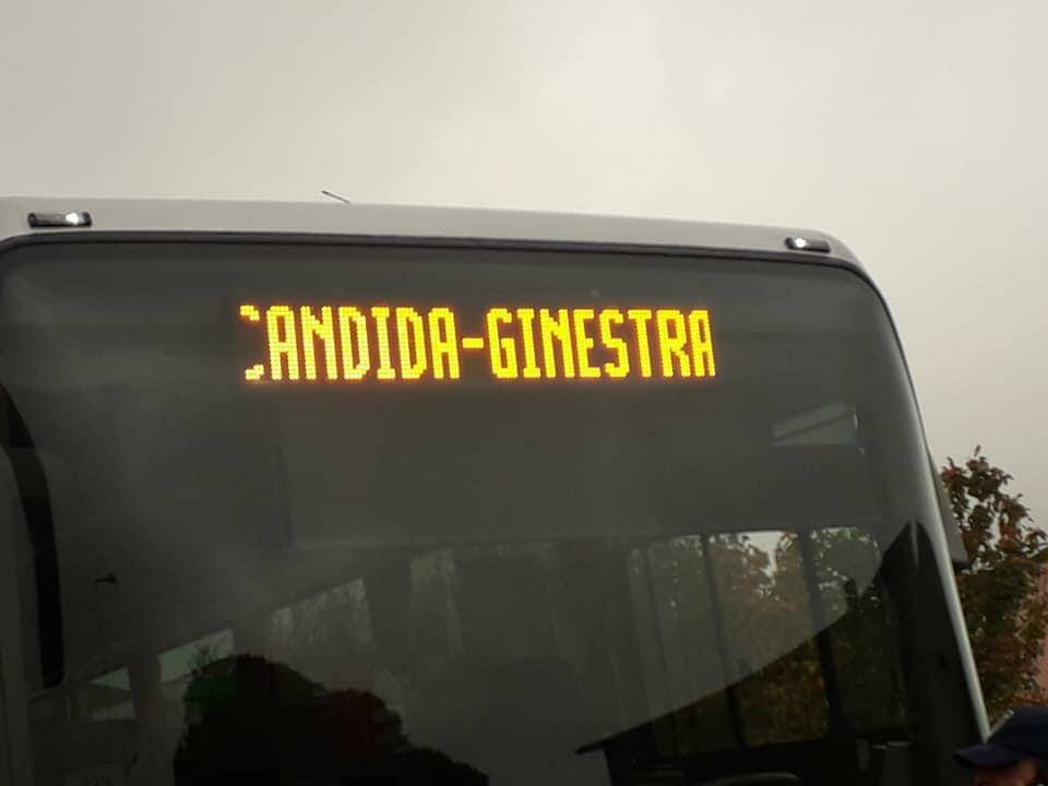 Immagine del post 12076 - Basilicata Trasporto pubblico locale: in Basilicata “sistema bloccato, rischio concreto per i posti di lavoro” - Basilicata