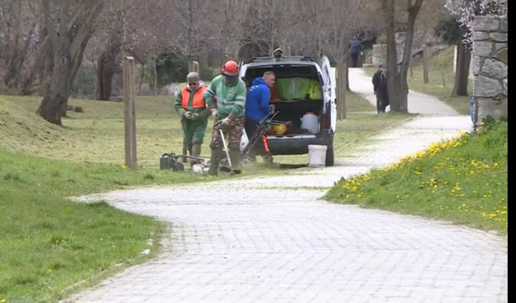 Immagine del post 14319 - Basilicata Forestazione, i lavoratori lucani incrociano le braccia - Basilicata