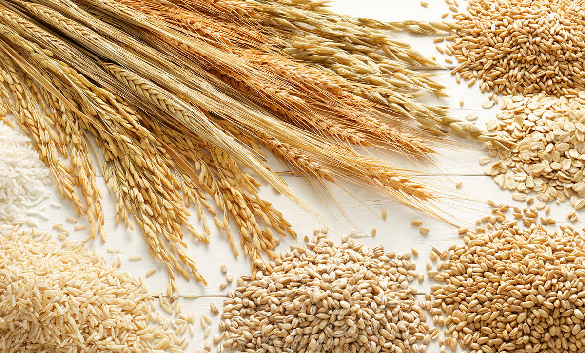 Grano, dal 2022 ad oggi il prezzo è crollato del 44% - Basilicata