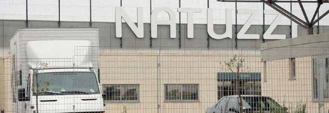 Immagine del post 2908 - Basilicata Sciopero alla Natuzzi, contro “disparità di trattamento e lavoro 6 giorni a settimana” - Basilicata