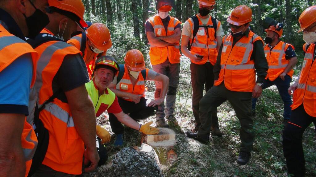 Forestali, Flai Cgil Basilicata: “Dalla Regione Basilicata solo rinvii sull’aumento delle giornate” - Basilicata