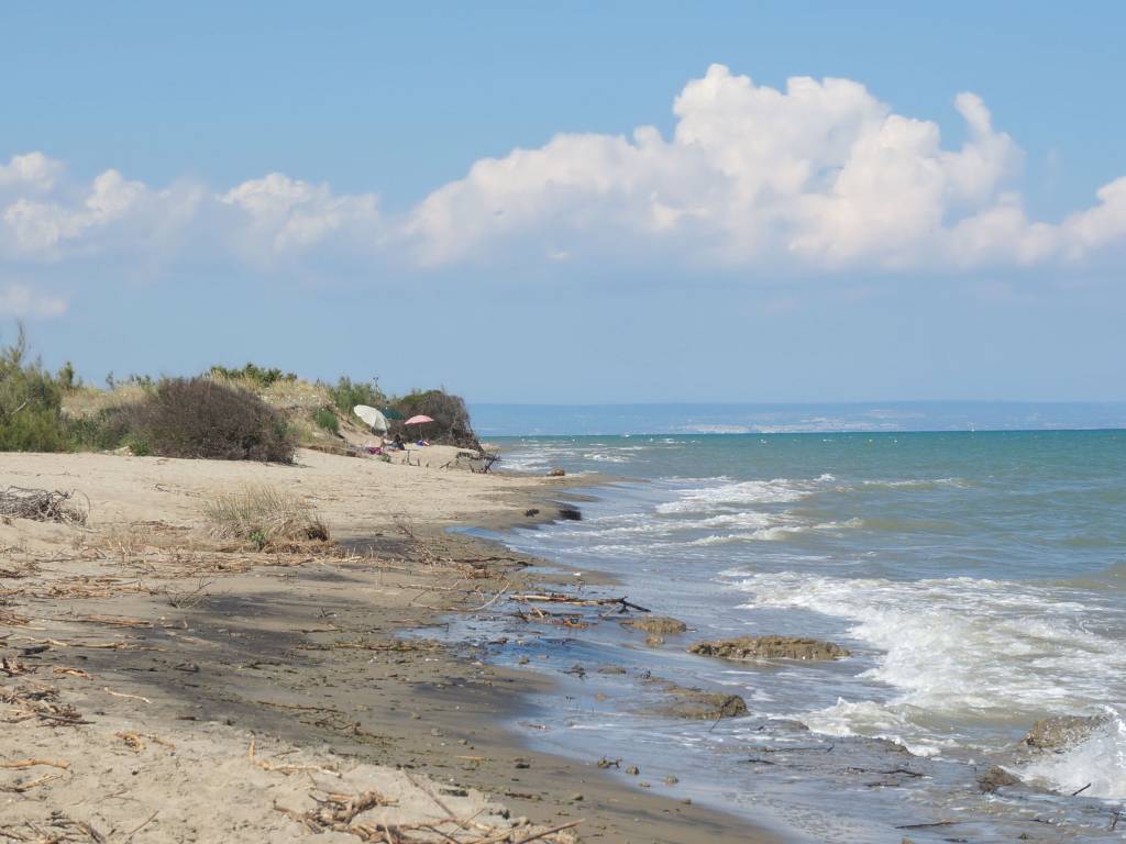 Legambiente: In Basilicata costa sempre più fragile - Basilicata