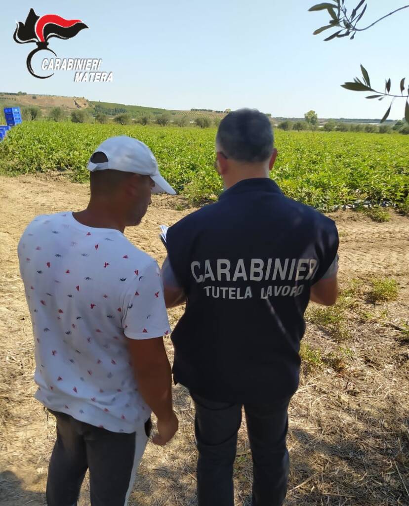 Operazione anti caporalato nel Metapontino - Basilicata