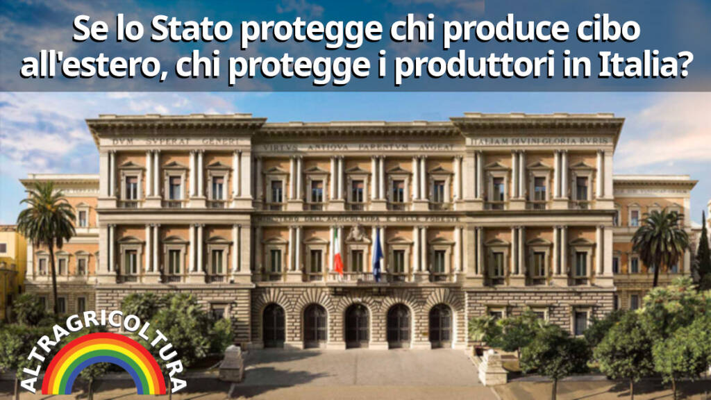 Immagine del post 22212 - Basilicata Agricoltura, Piano Mattei: quattro domande a chi ci governa - Basilicata