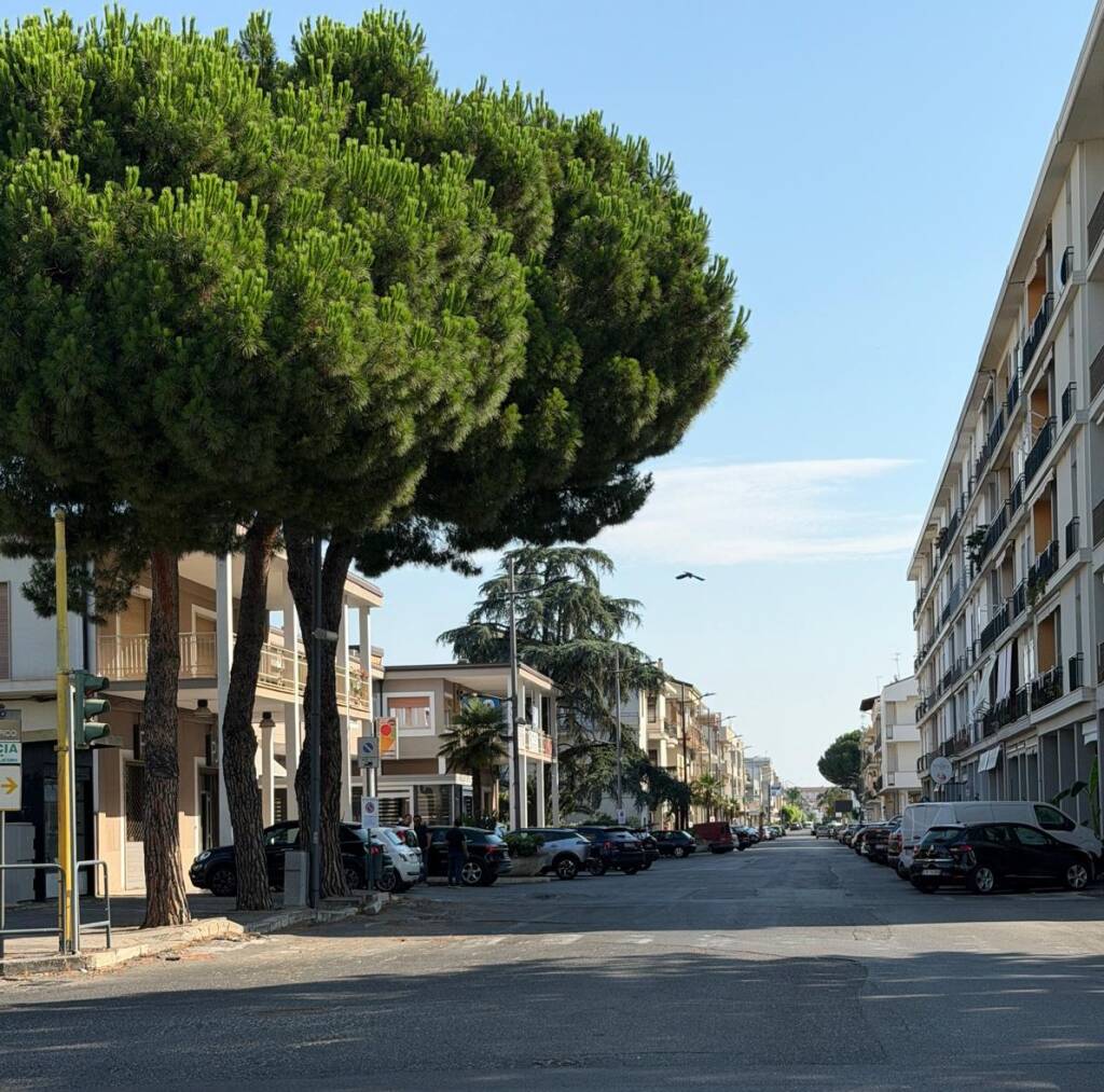 Immagine del post 23377 - Basilicata Policoro, il 13 agosto primo mercato serale straordinario - Basilicata