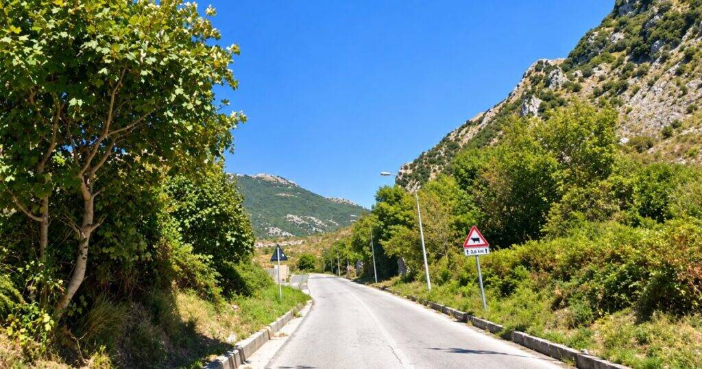 Strada provinciale 3, aggiudicati i lavori - Basilicata
