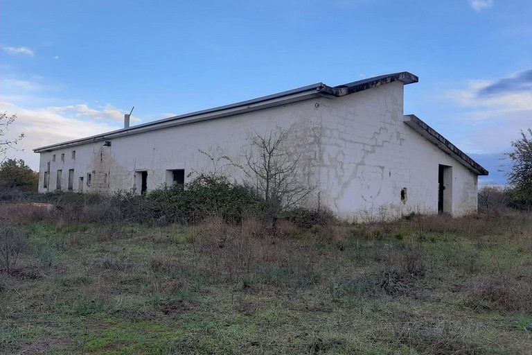 Apicultura nel bosco Difesa Grande - Gravina in Puglia