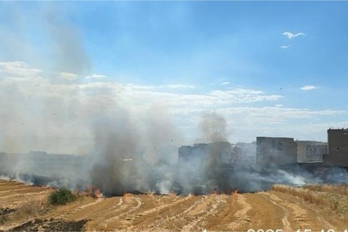 Immagine del post 21458 - Gravina in Puglia Incendi boschivi: arrivano le prescrizioni - Gravina in Puglia