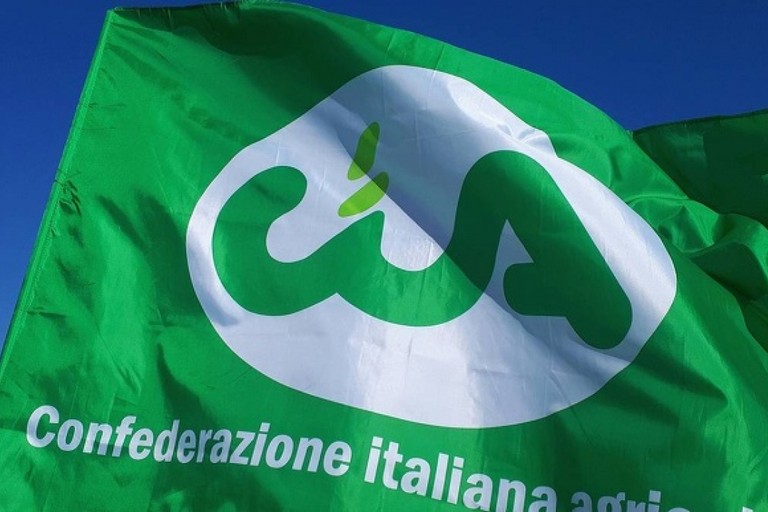 Immagine del post 12315 - Gravina in Puglia Da cinghiali e parrocchetti milioni di euro di danni - Gravina in Puglia