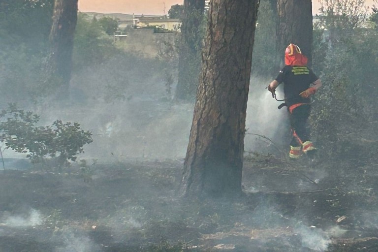 Immagine del post 8035 - Gravina in Puglia Incendi boschivi in Puglia, illustrato il piano regionale 2025 - Gravina in Puglia