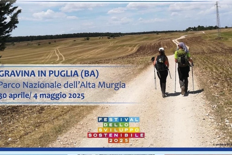 Immagine del post 6781 - Gravina in Puglia Il Cai a scuola di biodiversità nel MurGeoPark - Gravina in Puglia