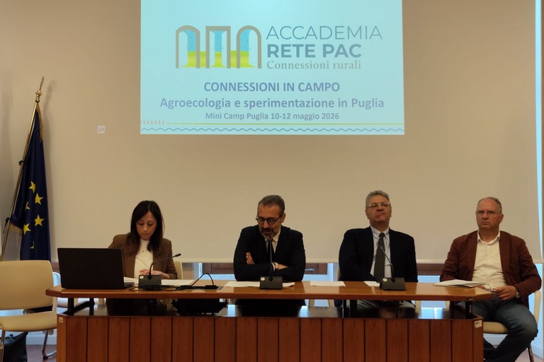 Immagine del post 20119 - Gravina in Puglia Connessioni Rurali, Presentato il Mini Camp 2026 - Gravina in Puglia