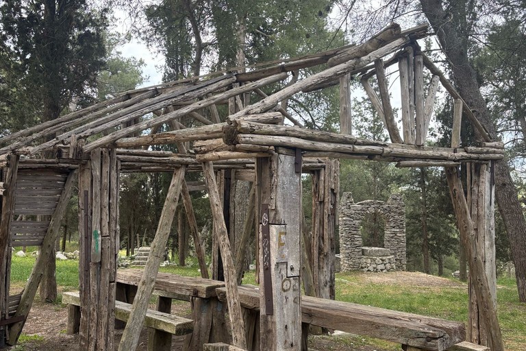 Immagine del post 6833 - Gravina in Puglia La Pineta, un bene pubblico bistrattato - Gravina in Puglia