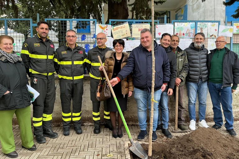 Immagine del post 14696 - Gravina in Puglia Alla scuola Savio rinasce l’albero della speranza - Gravina in Puglia