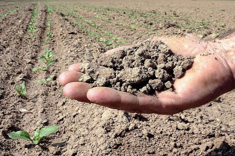 Immagine del post 3031 - Gravina in Puglia Persiste il rischio siccità in Puglia, anche con l’arrivo della Primavera - Gravina in Puglia