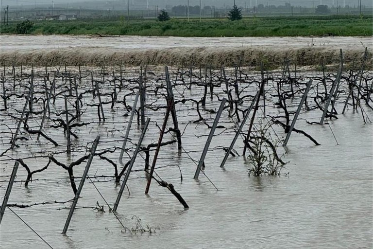 Immagine del post 19100 - Gravina in Puglia Maltempo, la Regione chiede il riconoscimento dello stato di emergenza - Gravina in Puglia