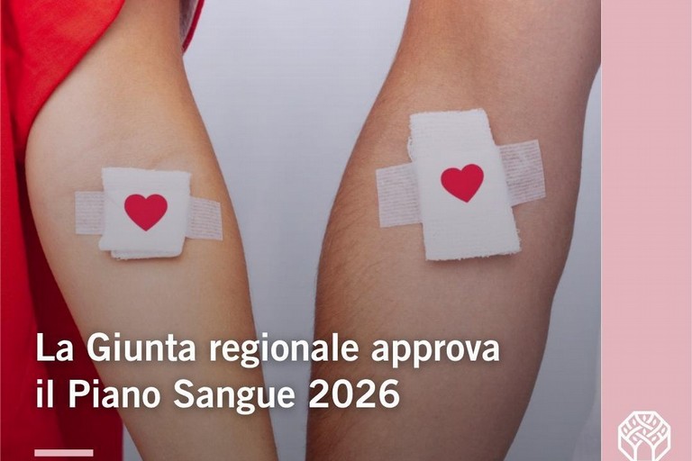 La Giunta regionale approva il piano sangue 2026 - Gravina in Puglia