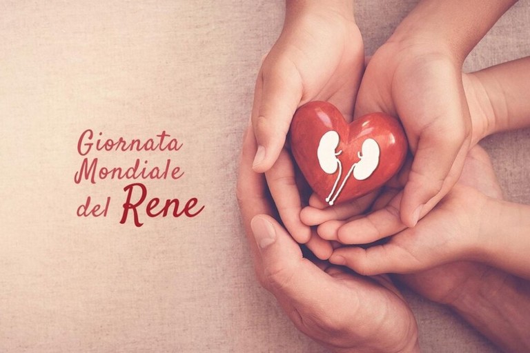 Immagine del post 3585 - Gravina in Puglia Giornata Mondiale del Rene: Prevenzione per giovani e adulti - Gravina in Puglia