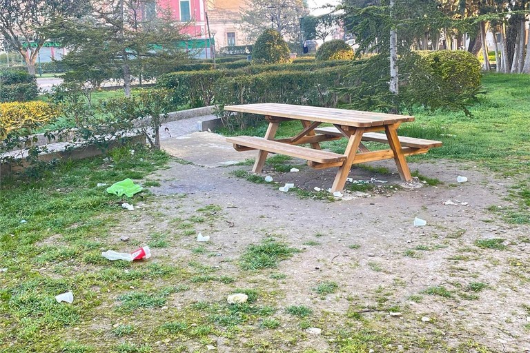 Immagine del post 3598 - Gravina in Puglia La pineta ridotta a discarica - Gravina in Puglia