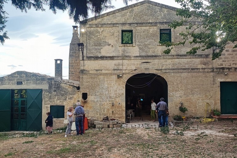 Il Ritmo degli Alberi: la Pace e la Musica - Gravina in Puglia