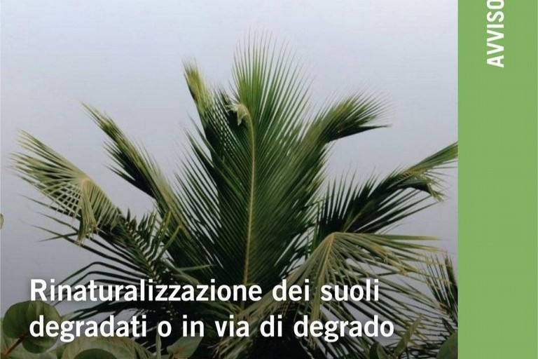 Immagine del post 15877 - Gravina in Puglia Rinaturalizzazione dei suoli degradati, bando della Regione Puglia - Gravina in Puglia