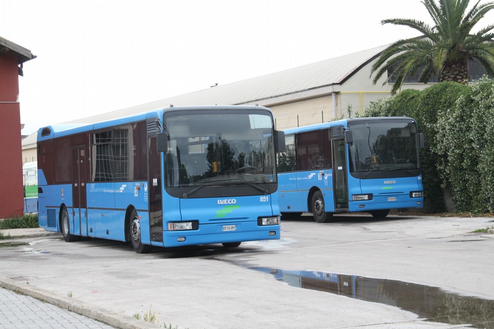 Trasporto pubblico Gravina – Bari Z.I.: STP disponibile a un tavolo tecnico - Gravina in Puglia