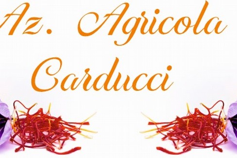 Immagine del post 14884 - Gravina in Puglia Con i f.lli Carducci l’oro rosso anche a Gravina - Gravina in Puglia