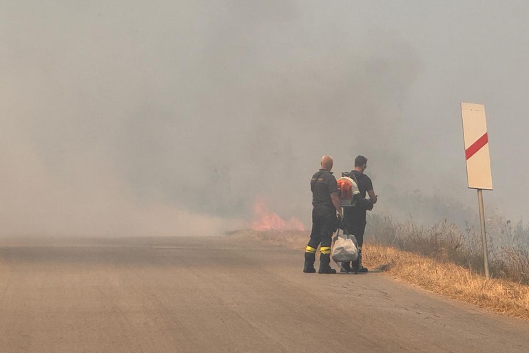 Immagine del post 8426 - Gravina in Puglia Arriva l’estate, scoppiano gli incendi - Gravina in Puglia