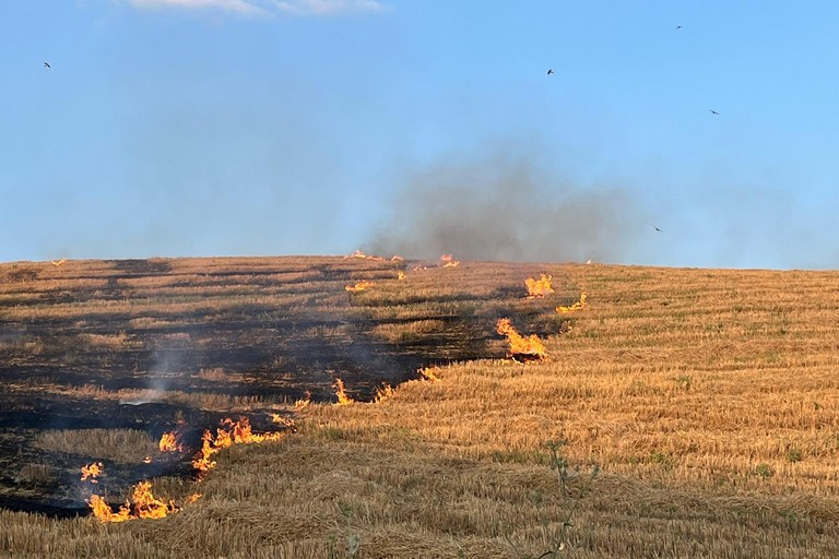 Immagine del post 8501 - Gravina in Puglia Lotta agli incendi boschivi: le prescrizioni - Gravina in Puglia