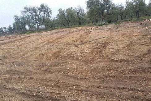 Immagine del post 8532 - Gravina in Puglia Furti nelle campagne: Paolicelli e Pentassuglia incontrano il Prefetto di Bari - Gravina in Puglia