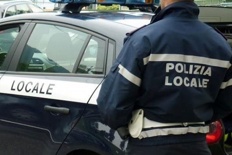 Nucleo Cinofilo: Verna interpella l’amministrazione - Gravina in Puglia