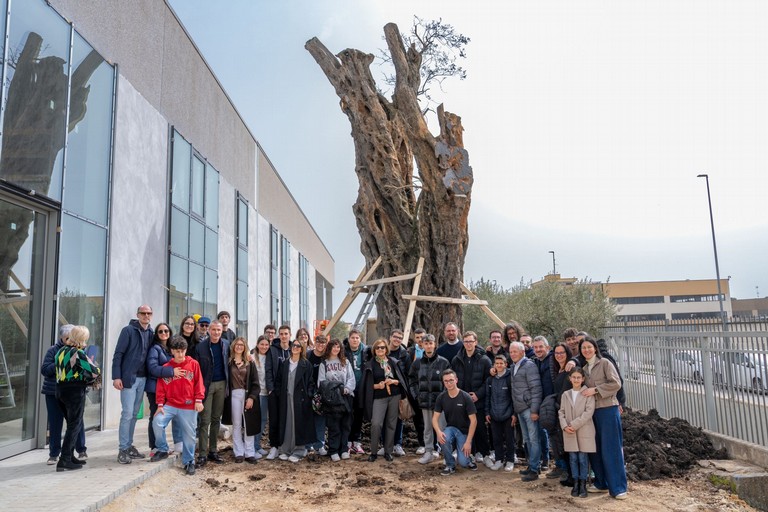 Il “Patriarca” pone nuove radici in Puglia: ora Gravina è la sua casa - Gravina in Puglia