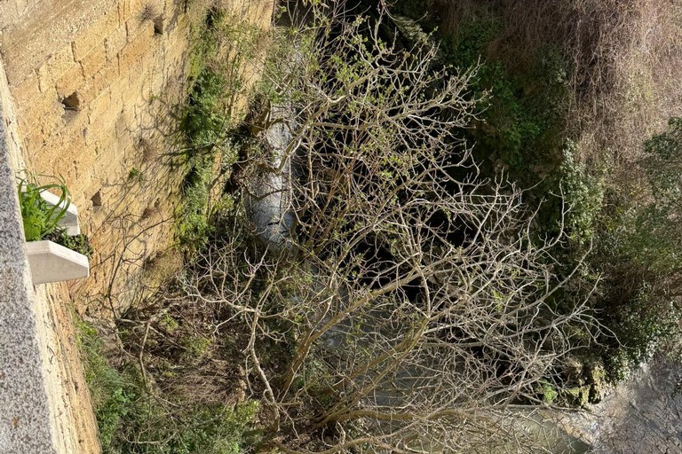 Immagine del post 17358 - Gravina in Puglia Ritrovato presunto ordigno sul costone della gravina - Gravina in Puglia