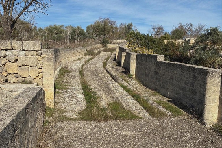 “Per Silvium, la via Appia è stata vitale” - Gravina in Puglia
